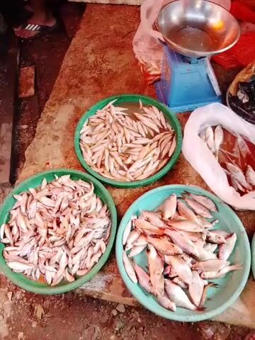 A vendor is selling fish at a market. Several bowls of small fish are arranged on the ground. In the background, a scale is visible, along with a large cutting board and knife. The vendor, wearing a headscarf and yellow garment, is crouched down and appears to be preparing fish. The ground is dirt and appears wet, suggesting it is a market that handles fresh produce.