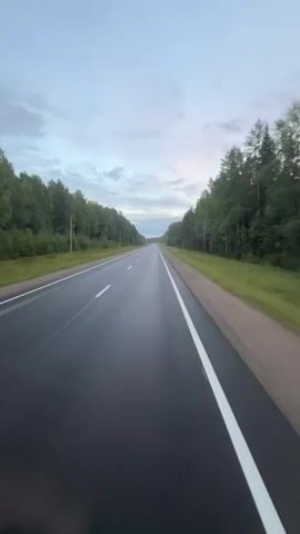 This is a vertical, first-person view video of a car driving down an empty asphalt road. The road is wet and has white lines marking the lanes. On either side of the road are tall, green trees, forming a dense forest. The sky is overcast with pale blue and grey clouds. The lighting suggests it is either early morning or late evening. There are no other vehicles or people visible.