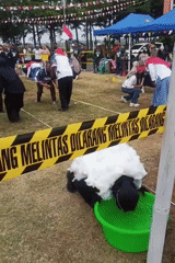 Indonesian Independence Day games and festivities in Sidomulyo