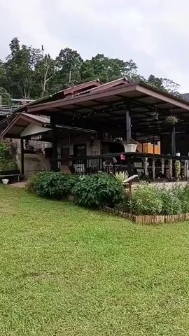 The video shows a view of a building with a covered outdoor seating area, in front of a lush green lawn. Beyond the lawn, there are tiered rice paddies, with a small wooden structure nestled within them. The background is filled with dense green trees and mountains, under a cloudy sky. A person is visible sitting at a table on the covered patio of the building.