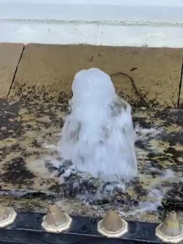 The video shows a small water fountain in operation. The water shoots upward in a concentrated column before cascading down in a frothy, bubbling pattern. The fountain sits on a stone base that is partially covered with dark staining or grime. Along the edge of the base are several decorative, cone-shaped elements with dark edges. The background includes a white wall or structure. The overall scene is static, with the primary action being the movement of the water.