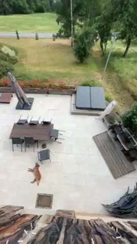 The video shows a patio with a table, chairs, a hot tub, and a dog lying on the tiles. The patio overlooks a lawn and a road, with trees and mountains in the background. The sky is blue with some clouds. The camera pans upwards to reveal more of the mountain range.