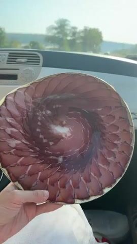 The video shows a person holding a large circular platter of thinly sliced cured meat, likely ham or prosciutto, arranged in a spiral pattern. The platter is gold-colored around the edges and has a white and pink marbled appearance in the center where the slices converge. The person's hand is visible holding the platter. In the background, the interior of a car is visible, including the dashboard, air vents, and a radio. Sunlight is filtering in, suggesting it is daytime. The exterior environment, including trees and a hint of a body of water, is visible through the car's windshield. The platter has a label on the back, which includes text and a barcode.