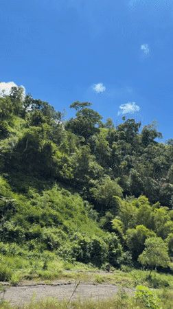 Red scooter travels mountain road in Indonesia