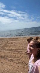 Beach day in Zelenaya Roshcha: kites, boats, and pine trees