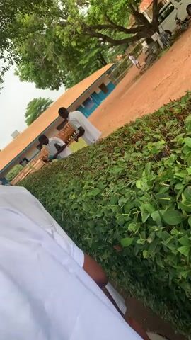 The video begins with a close-up shot of a person's back wearing a white shirt with red accents. The camera then pans to the right, showing a group of young men in white attire walking on a dirt path lined with green hedges. In the background, there's a building with blue trim and a brown roof, partially obscured by trees. Some of the young men are carrying objects that appear to be boxes or baskets. Further down the path, a white car is parked. The camera continues to pan and tilt, showing more of the surrounding environment, including a larger white vehicle and stacks of tires. The video is shaky and appears to be taken on a mobile device. The overall scene depicts an outdoor setting, possibly a school or religious institution, with young people engaged in some activity.