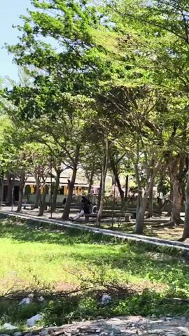 A person sits on a bench under trees. Sunlight filters through the leaves. In the background, other people are visible and there are buildings. The person is wearing light-colored pants and a dark shirt. The ground in the foreground is covered in grass and some debris. The overall scene appears to be a park or outdoor public space.