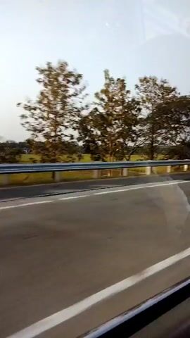The video shows a view from a moving vehicle. The foreground is dominated by the asphalt road with white lane markings. A metal guardrail separates the road from the background. Beyond the guardrail are trees with sparse foliage and a hazy sky. The lighting suggests it is either early morning or late afternoon. There are no people or discernible interactions visible.