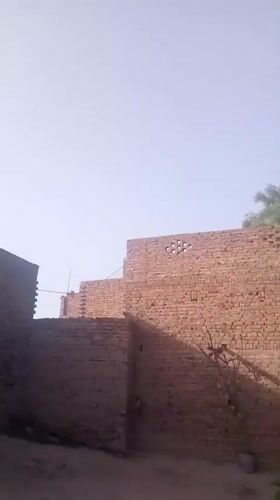 Pomegranate trees documented in Pakistani residential yard