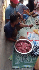 Village life in Kelurahan: livestock, gathering, and street scenes