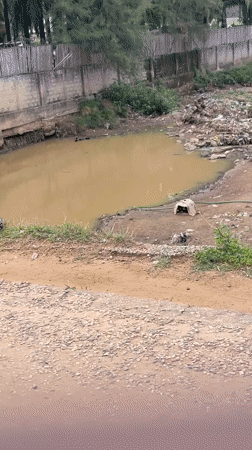 Daily life scenes documented across Akwanga, Nigeria morning hours