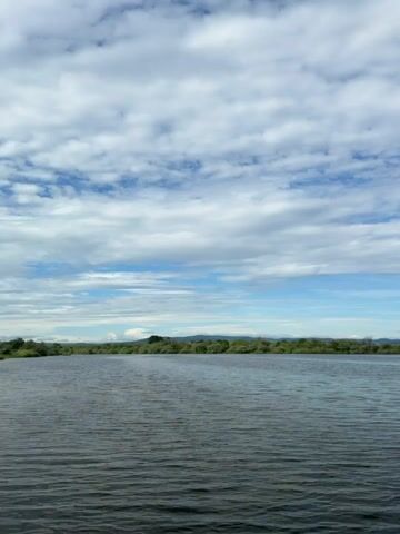The video shows a serene view of a wide body of water under a partially cloudy sky. The water is dark with gentle ripples across its surface. In the distance, a long stretch of green trees and vegetation lines the opposite shore. Above the trees, the suggestion of mountains or distant hills can be seen. The sky is mostly blue, scattered with fluffy, white cumulus clouds.