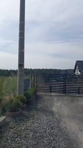 The video pans across a grassy field under a cloudy sky. In the foreground, a weathered wooden post stands to the left, with a small sign attached to it. To the right, a large concrete utility pole is visible, partially obscured by some low-lying green bushes. Beyond the pole, a dark metal gate is set into a gravel path. In the distance, a line of trees forms the horizon. The camera movement suggests it is being held by someone walking.