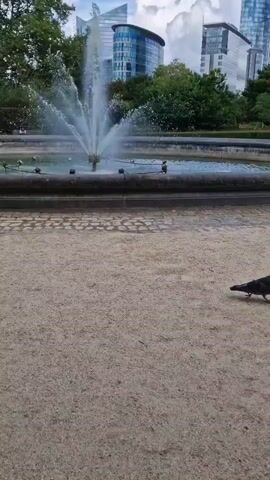 A fountain sprays water in a park with trees and modern buildings in the background.