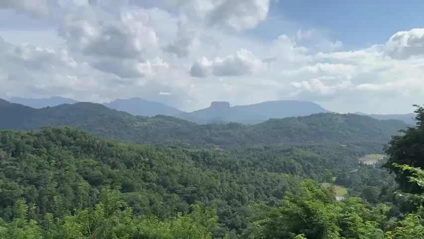 The video presents a scenic view of a mountain range covered in dense, green forest. The sky is partly cloudy with a mix of white and gray clouds. In the far distance, the outlines of several mountains can be seen, with the prominent Adam's Peak visible. The camera slowly pans across the landscape, revealing more of the forest-covered hills. In the foreground, the tops of trees are visible. The scene is natural, devoid of human presence, and evokes a sense of tranquility and natural beauty.