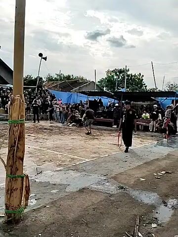 The video shows an outdoor event with a crowd of spectators gathered around a cleared area, possibly a performance space. A person wearing a black shirt with a logo and a black skirt is standing in the foreground, holding a looped rope. In the center of the cleared area, two individuals are engaged in a physical demonstration. One person, wearing a patterned garment, is in a low stance, while another, in a dark shirt and shorts, is positioned behind them. The ground is uneven and appears to be dirt with some puddles. Behind the spectators, there are temporary structures with blue tarps, suggesting a festival or market setting. A tall pole with a speaker attached stands to the left. The sky is overcast. The scene appears to be a demonstration of a martial art or traditional performance involving the rope.