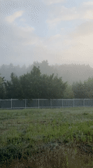 Misty sunrise captured with bird in flight, Mława Poland