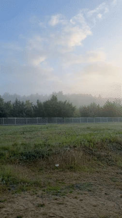 Misty sunrise captured with bird in flight, Mława Poland