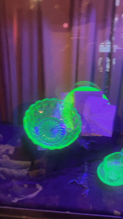 Moody lit display of glass objects and toy scorpions in Melbourne