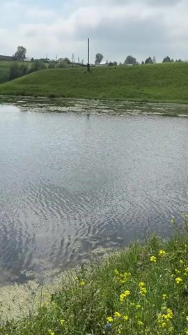 A man is fishing from the bank of a body of water. He is wearing a blue fishing vest over a blue and black jacket, and blue pants. He has a backpack on his back and is wearing a baseball cap. He is holding a fishing rod and reel and appears to be in the process of casting or retrieving his line. The water is calm with some ripples. There is lush green grass and yellow flowers growing on the bank in the foreground. In the background, there is a large green hill and a cloudy sky.