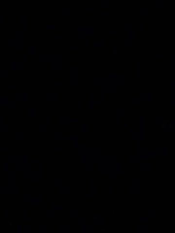 The video is entirely black. No image or sound can be perceived.