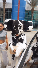 Dalmatian mascot entertains travelers at Venezuelan airport
