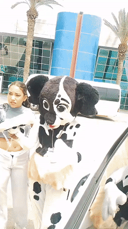 Dalmatian mascot entertains travelers at Venezuelan airport