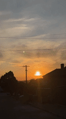Evening dog walk documented in rural Bulgarian village