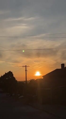 Evening dog walk documented in rural Bulgarian village