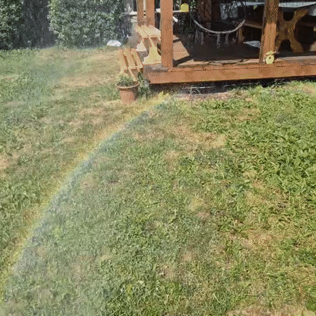 Dacha morning: sprinklers, a gazebo, and a resting insect