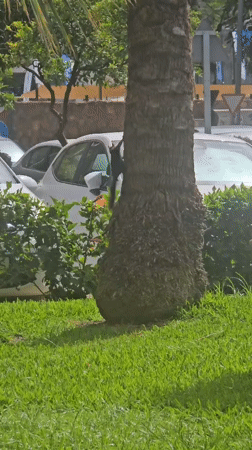 Cyclists pause roadside in Málaga on a summer morning