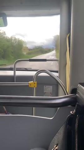 The video captures a first-person perspective from the interior of a moving bus or coach. In the foreground, prominent grey and yellow metal grab bars and a dashboard structure frame the view through the front windshield. A dark bag with a zipper and chain strap is visible on the right, hanging from a seat.

Through the windshield, a two-lane asphalt road stretches into the distance, appearing wet, suggesting recent rain or drizzle. Lush green vegetation, including trees and bushes, lines both sides of the road. A tree with distinct pink blossoms is visible on the left side of the road, indicating springtime. In the distance, modest buildings and structures can be seen on the left side, blending into the landscape.

The sky is largely overcast with grey clouds, though patches of brighter light suggest a partially sunny or breaking-cloud condition. The vehicle is in motion, steadily progressing along the road. A white rectangular label with some red, unreadable text is visible on the dashboard panel. The scene depicts a quiet, rural or semi-rural drive through Golyanovtsi, Bulgaria, with no people explicitly visible.