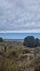 Nature documentation captures serene lakeside landscape in Orihuela, Spain
