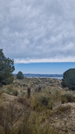 Nature documentation captures serene lakeside landscape in Orihuela, Spain