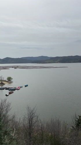 Lake views and waterfront building documented in Glavatartsi, Bulgaria