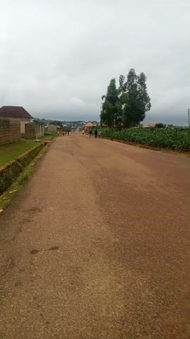 The video shows a dirt road in a rural area. There are houses and vegetation on both sides of the road. Several people are walking and riding motorcycles on the road. The sky is cloudy.