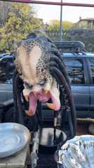 Predator mask displayed outdoors in Buenos Aires