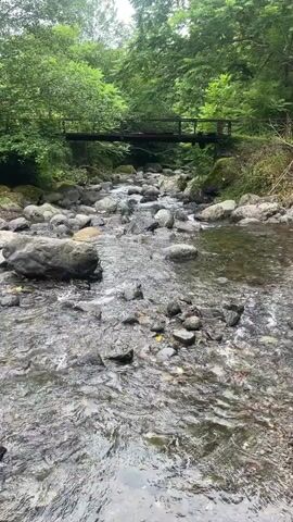 The video shows a moving shot from above a shallow, rocky stream. The water is clear and moving, with rocks visible both in the streambed and along the banks. Lush green trees and foliage surround the stream, and a wooden bridge can be seen in the background, spanning the water. The sky appears overcast.