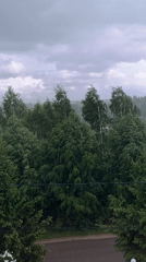 Storm brings heavy rain, strong winds to Russian village
