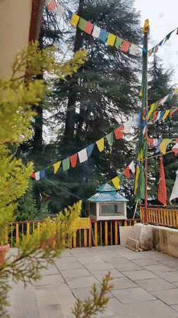 Siumsa valley town: prayer flags, mountain mist, and daily life