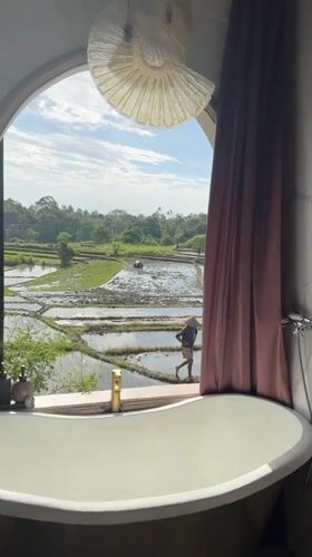 Worker traverses flooded rice fields in Mengwi, Indonesia