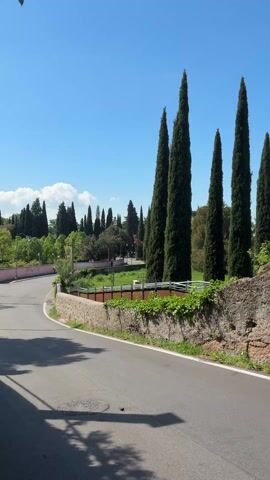 The image captures a serene, sunlit landscape featuring a curving asphalt road in Tivoli, Italy.

**Subjects:** The primary subjects are the road, a rustic stone wall, and numerous tall, slender cypress trees. The road curves gently to the left in the foreground and midground, marked with a white line along its edge. A low, textured stone wall, partially covered with green climbing plants, runs along the right side of the road. Beyond this wall and further into the scene, a prominent line of dark green, conical cypress trees stands tall, creating a distinct visual boundary. More cypress trees and other deciduous trees with lighter green foliage are visible in the background, forming a lush green environment. The sky above is a clear, vibrant blue dotted with a few scattered white cumulus clouds. A traditional-style street lamp is partially visible in the upper-left corner of the frame.

**Activity or Event:** There is no specific human activity or event taking place; the road appears empty of traffic and pedestrians, suggesting a quiet moment in the landscape.

**Notable Details:** The strong, elongated shadows cast across the road indicate that the photograph was taken on a bright, sunny day, likely during the morning or early afternoon. The weather is clear and pleasant, with a brilliant blue sky. The distinct architecture of the stone wall and the prevalence of cypress trees are strong location cues consistent with the provided context of Tivoli, Italy. The overall mood conveyed is one of tranquility, natural beauty, and classic Mediterranean charm. No visible text is present in the image.