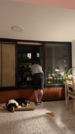 Board game session observed in Ramat Gan