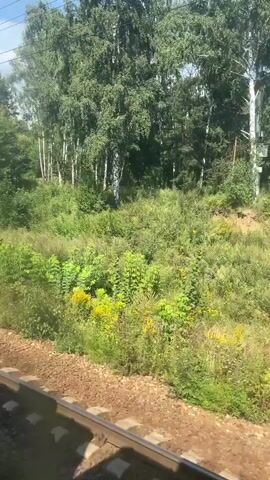 The video shows a view from a moving train passing through a wooded area. The train tracks are visible in the foreground. On the right side of the tracks, there is dense green vegetation with some trees and taller trees in the background. The sky is partly cloudy and the sun is shining, indicating daytime. There are occasional electrical poles and wires visible along the side of the track, suggesting it is a functioning railway line. The camera is angled slightly downwards towards the tracks and pans to the right, following the movement of the train. The scene is entirely natural, with no people or buildings in view.