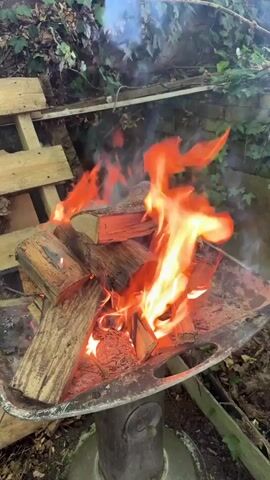 A video shows logs burning in a fire pit. The fire pit is made of metal and sits on a stand. The logs are stacked and burning brightly with flames reaching upwards. Smoke is visible rising from the fire. In the background, there is a wooden structure and some greenery. The scene appears to be outdoors.