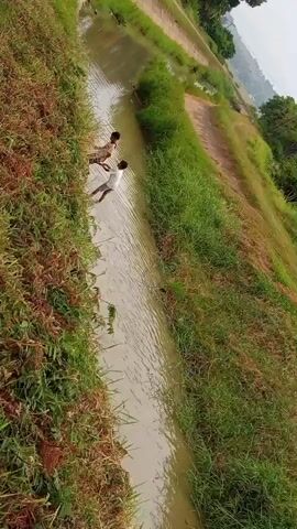 The video shows a narrow, shallow body of water, possibly a canal or irrigation ditch, with lush green grass growing on its banks. Two young boys are standing in the water, near the left bank. One boy, wearing a white t-shirt and dark shorts, is closer to the camera and appears to be facing away. The other boy, further down the waterway, is wearing a light-colored shirt and dark shorts and is also facing away. The water is murky and appears to have a gentle current. The scene is outdoors, under what appears to be an overcast sky. The camera is positioned at an angle, looking down into the waterway.