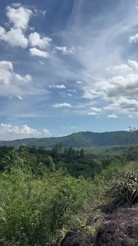 The video shows a landscape view from a hill. The sky is blue with white clouds. There are green trees covering the hills in the background. In the foreground, there are tall green plants and some dark soil. In the last two frames, a person holding a phone is visible from the chest up. The person is wearing a white cap and has curly hair.