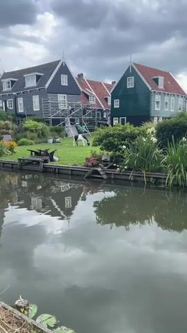 The video opens with a view of a picturesque Dutch canal scene. On the right bank, several traditional Dutch houses with dark exteriors and white trim are visible. One house is partially covered in scaffolding, suggesting renovations are underway. In front of the houses, a lush green lawn features a black and white cow grazing and a person in a green shirt tending to it. There are also decorative white statues of birds on the lawn. The canal itself is calm, with reflections of the houses and the cloudy sky. On the left side of the canal, a brick walkway runs alongside the water, with a person cycling away from the camera. Further down the canal, a white drawbridge crosses the water, and more houses and greenery line the banks. A tall church steeple dominates the background on the left. The sky is overcast with dramatic, dark clouds. The camera pans slowly to the left, following the canal and revealing more of the charming village.