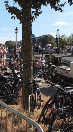 Amsterdam Pride Canal Parade draws crowds to the water
