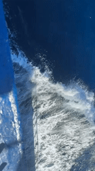 Boat passenger records ocean footage showing wake foam